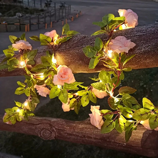 Rose String Lights.